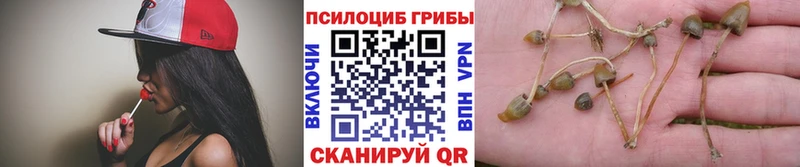 Галлюциногенные грибы ЛСД  Жигулёвск 